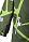 Комбинезон Reima®, Kiddo Kide forest green, цвет Зеленый для мальчик по цене от 5999 - изображение 2