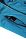 Куртка Reimatec®, Morgen, цвет Голубой для девочки по цене от 11699 - изображение 5